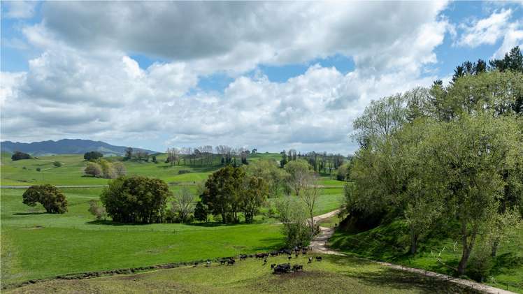 Lot 3/517 State Highway 1 Tirau_15