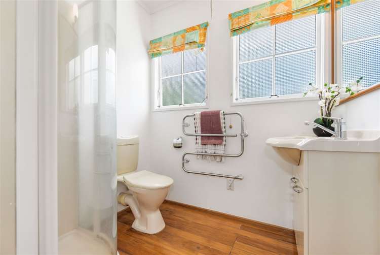 45 Balfour Crescent Riverlea_22