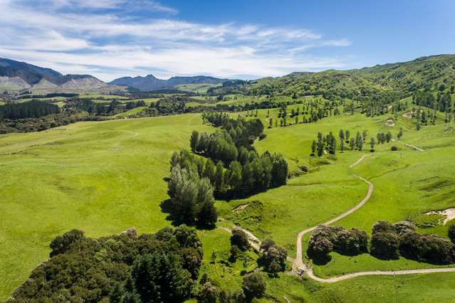 1127 Glenross Waiwhare_4