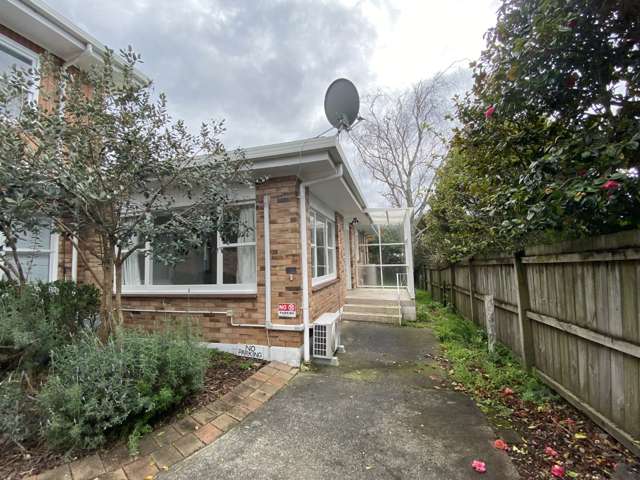 4/12 Wairakei Street Greenlane_1