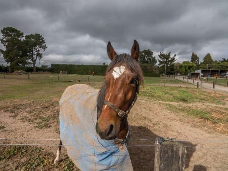 1234 West Coast Road West Melton_19