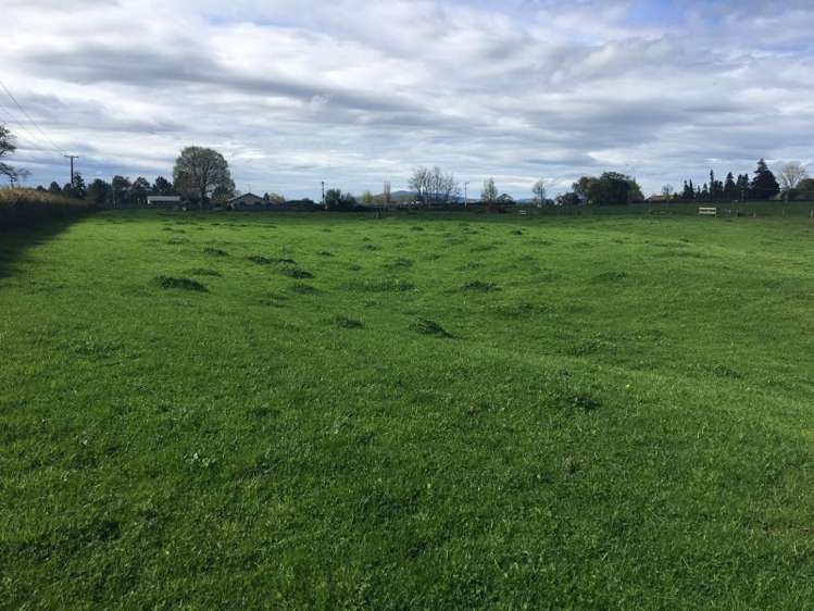 102 Platt Road Tauwhare_3