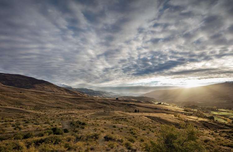 56 Lee Avenue Cardrona_15