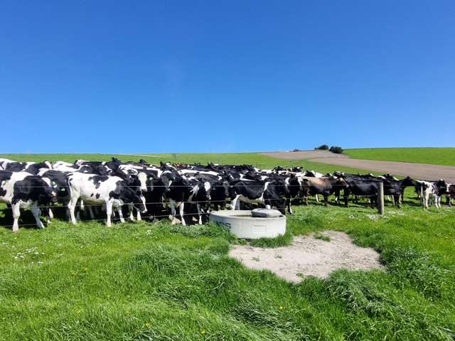 Beggs Track Hillend_2