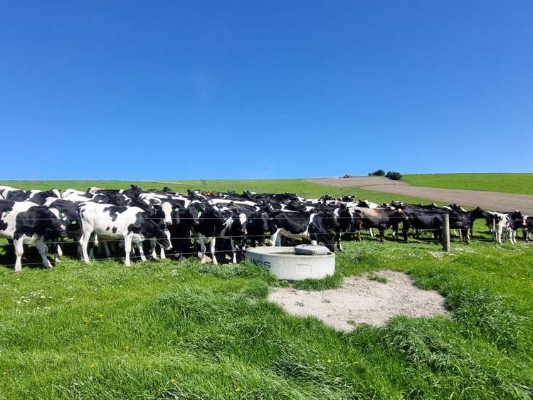 Beggs Track Hillend_2