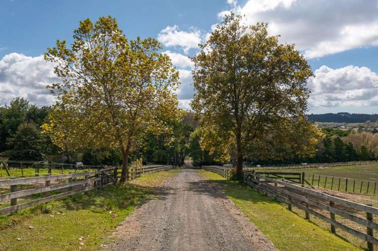 122 Forestry Road Waitoki_17