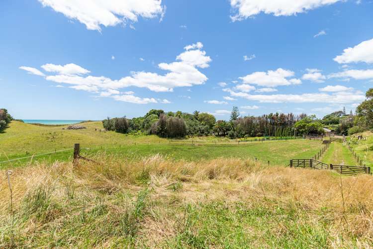 3b Beach Access Pukehina_14