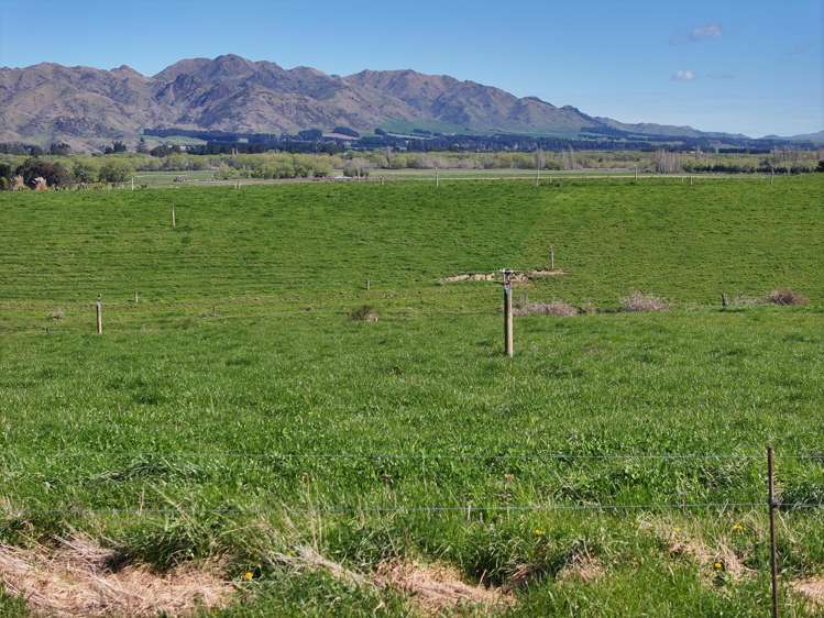 593 Lower Flat Road Waiau_2