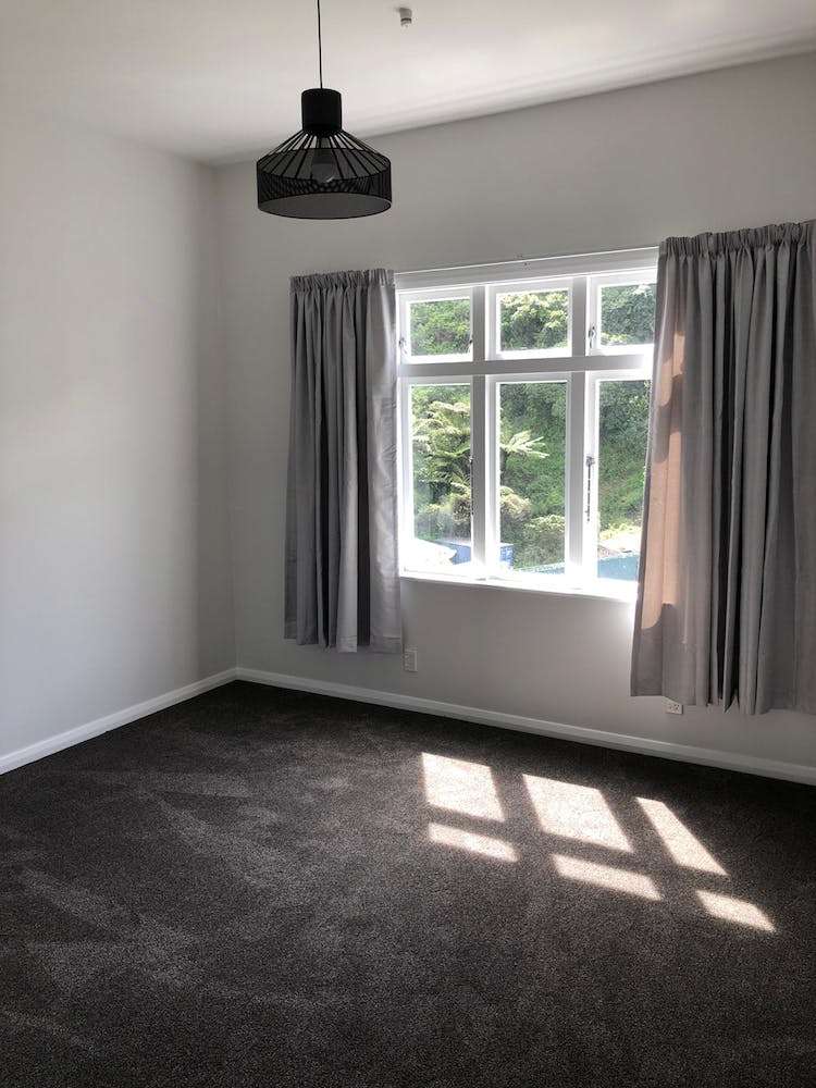 213 Aro Street Aro Valley_12