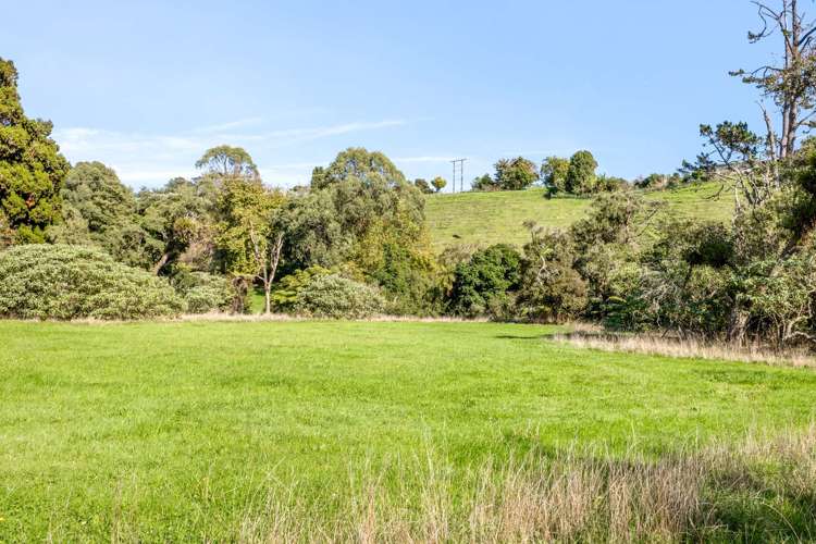 65 State Highway 3 Urenui_23