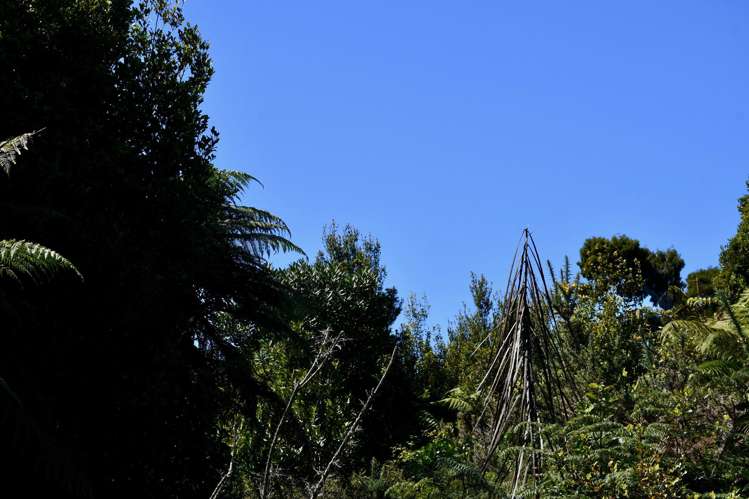 37 South Terrace Road Karamea_9