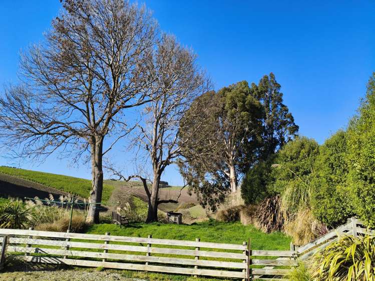 24c Thurso Street Lawrence_5