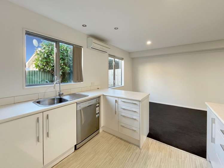 17 Antrim Street Sydenham_4