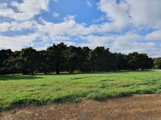 Te Waka Road Te Horo_1