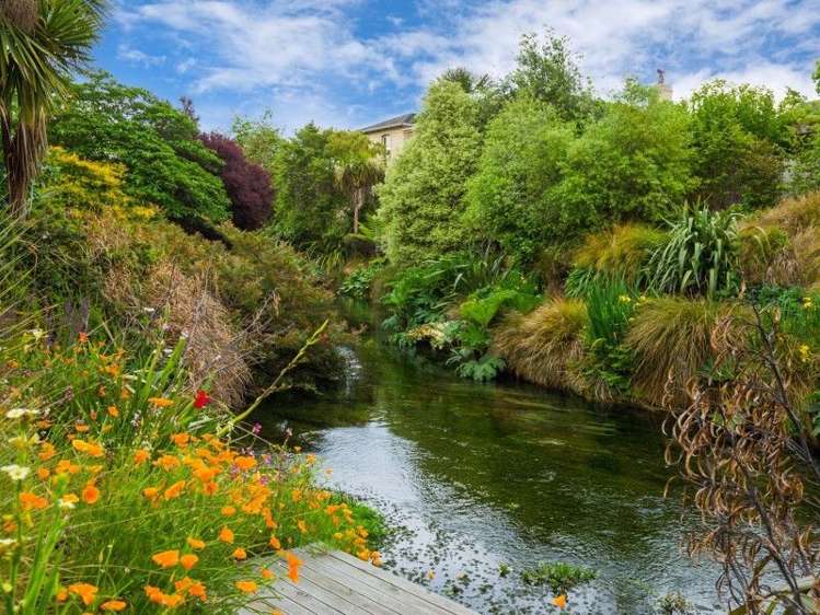 6 Clouston Gardens Springlands_15