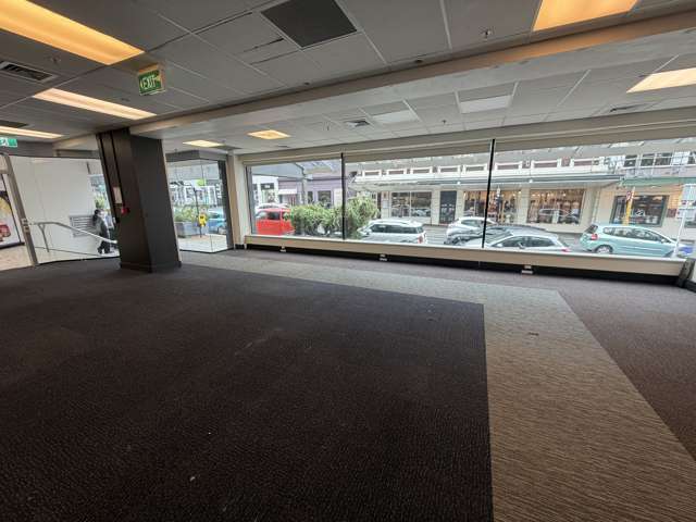 125 Willis Street Wellington Central_1