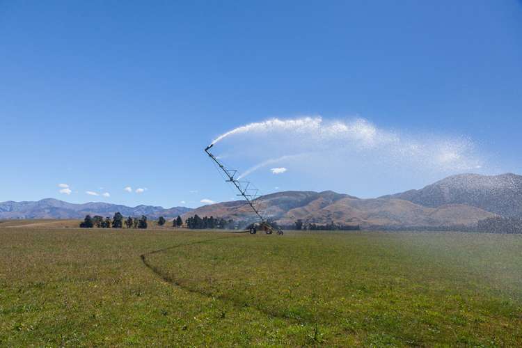 3276 Inland Kaikoura Road Stag And Spey_8