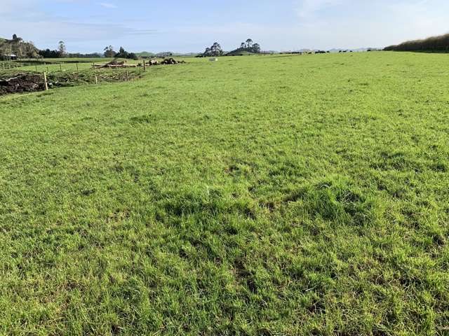 895 Bird Road Stratford_3