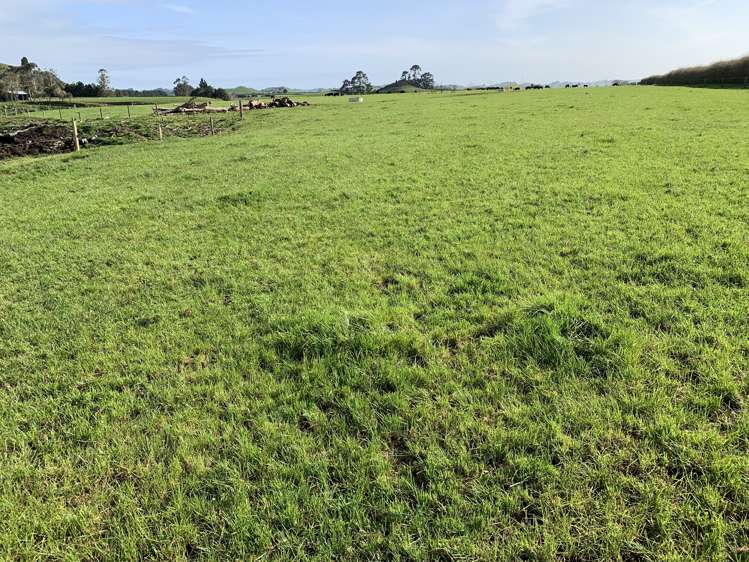 895 Bird Road Stratford_3