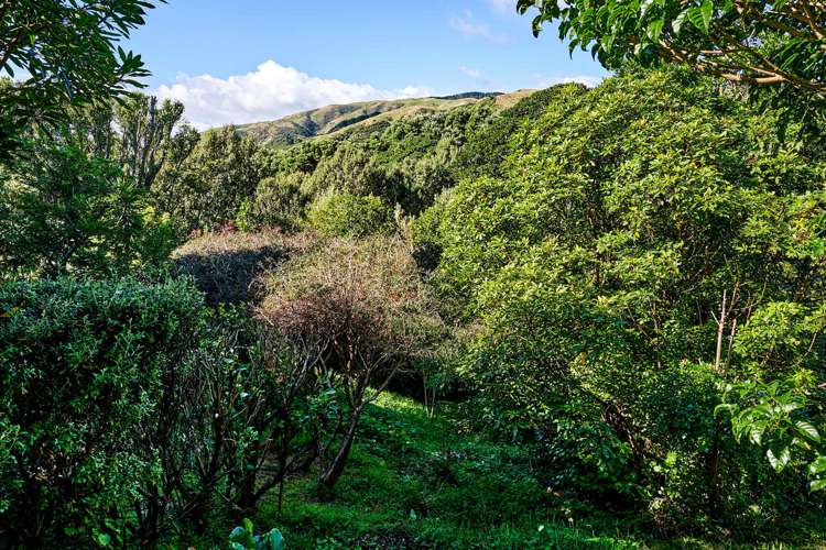 97F Muri Road Pukerua Bay_34