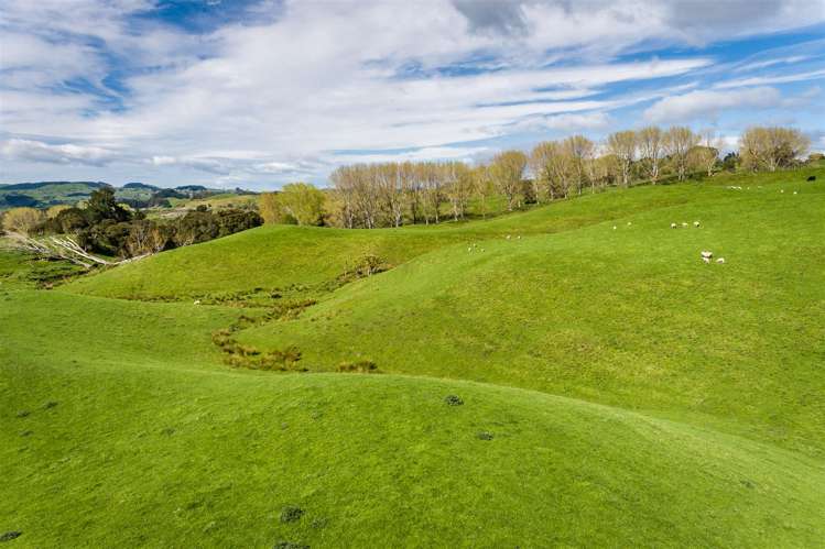 Glengarry Road Hastings Country_16