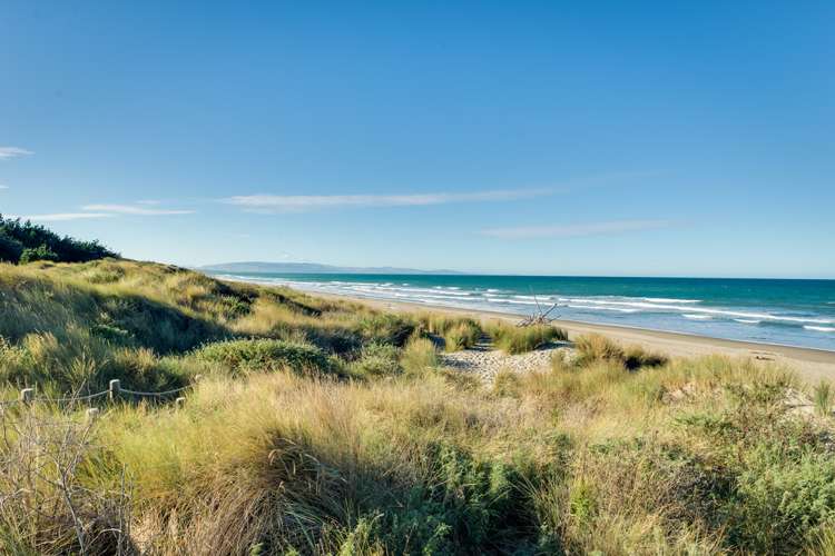 3 Katipo Way Pegasus_11