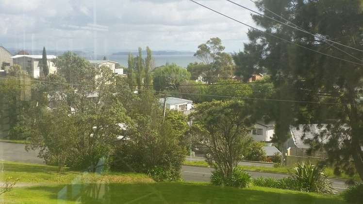 12a Matai Road Stanmore Bay_2