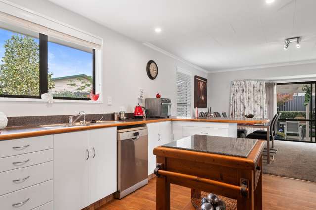 16 Manchester Street Tinwald_1