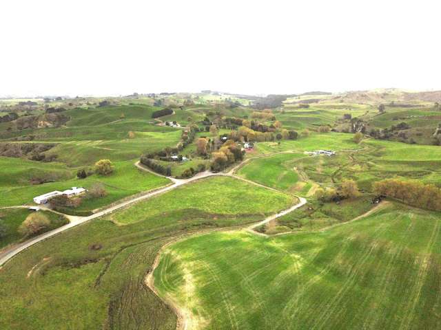 Overdale Road Putaruru_3