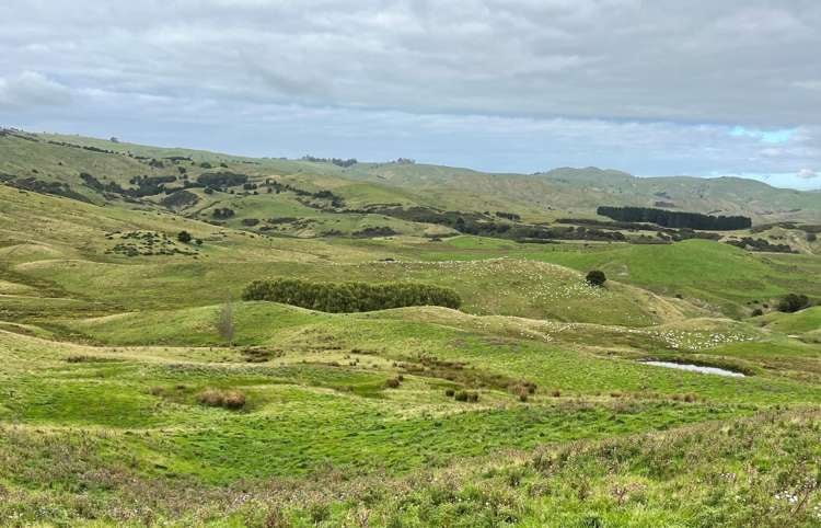 1137 Wimbledon Road Porangahau_1