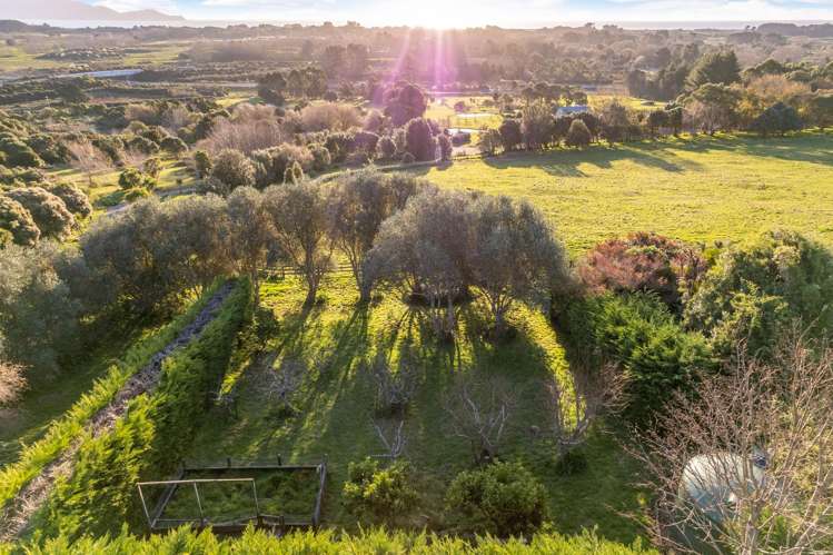 57 Octavius Road Peka Peka_29