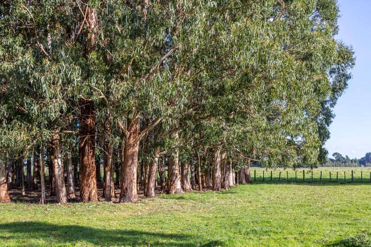 19 Matahiwi Road Matahiwi_14