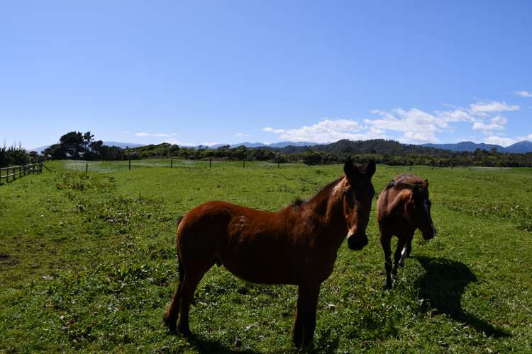 4151C Karamea Highway Little Wanganui_19