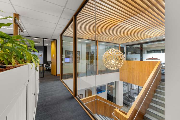 9 Francis Place Te Aro_5