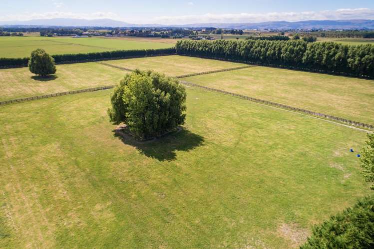 571 Kairanga Bunnythorpe Road Milson_5