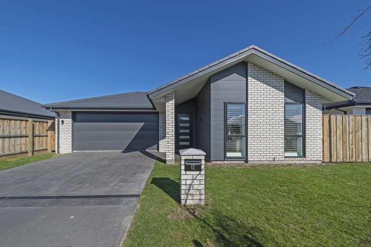 12 Hurring Lane Rolleston_0