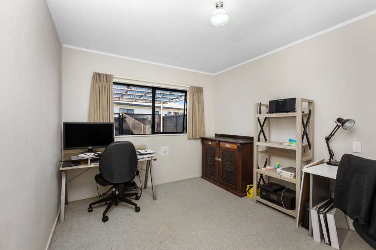 38 Rushton Road Morrinsville_8