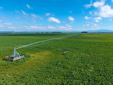 Rangitata Orari Bridge Highway_1
