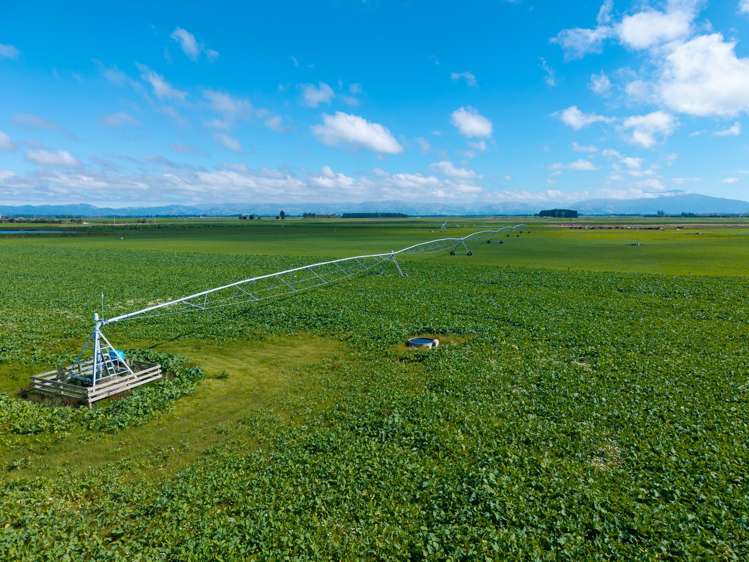 Rangitata Orari Bridge Highway Rangitata_1