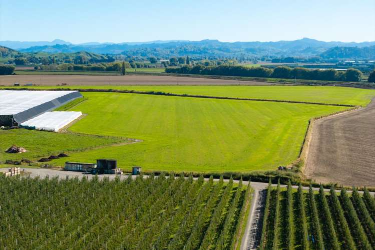 Lot 4 Judd Road Patutahi_1