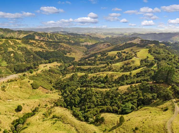 65 Moumoukai Hill Road Ness Valley_1