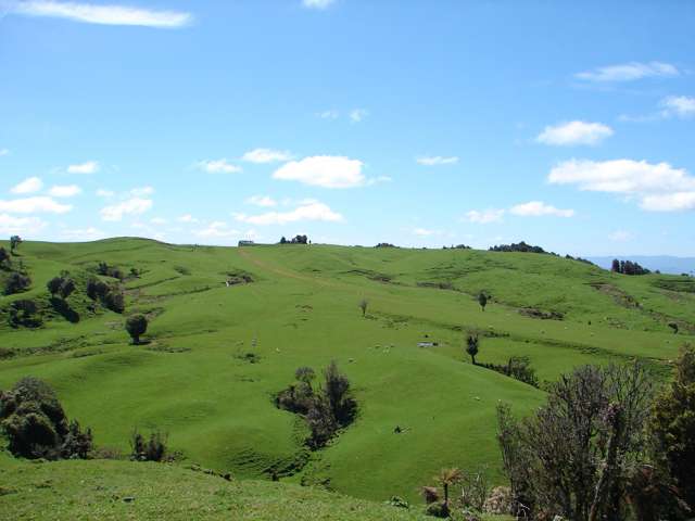 Mahoe Road Waitomo_1