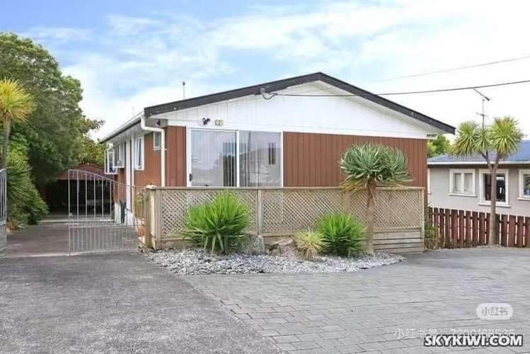 217 Sturges Road Henderson_0