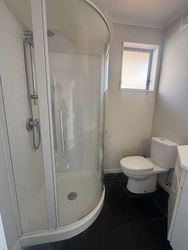 39 Fraser Avenue Johnsonville_4