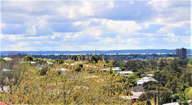 10 Mason Street New Lynn_1