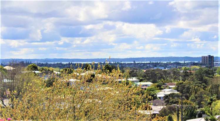 10 Mason Street New Lynn_1