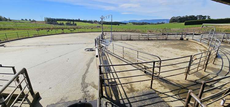 465 Adam Fleming Road Crossans Corner_10