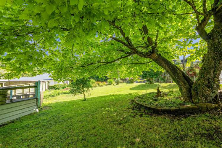 188 Huatoki Street Upper Vogeltown_22