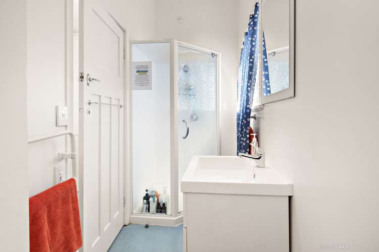 176 Aro Street Aro Valley_15