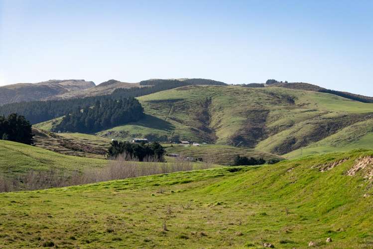 2/1269 Christchurch Akaroa Road Tai Tapu_11